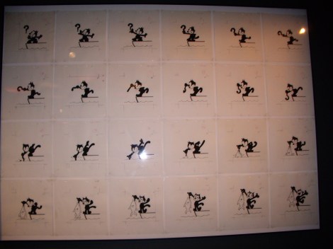 My beautiful picture