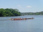 Dragon boat festival