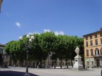 Charmante place à Lucca