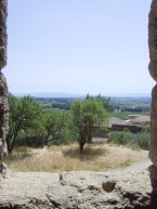 Châteauneuf-du-Pape
