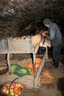 Expo Regards Paysans © Régis Dallard - alimentation