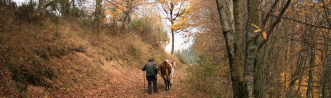 Expo Regards paysans © Régis Dallard