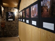 Expo Régis Dallard - Regards Paysans