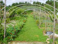 Jardin potager Mas des Faïsses