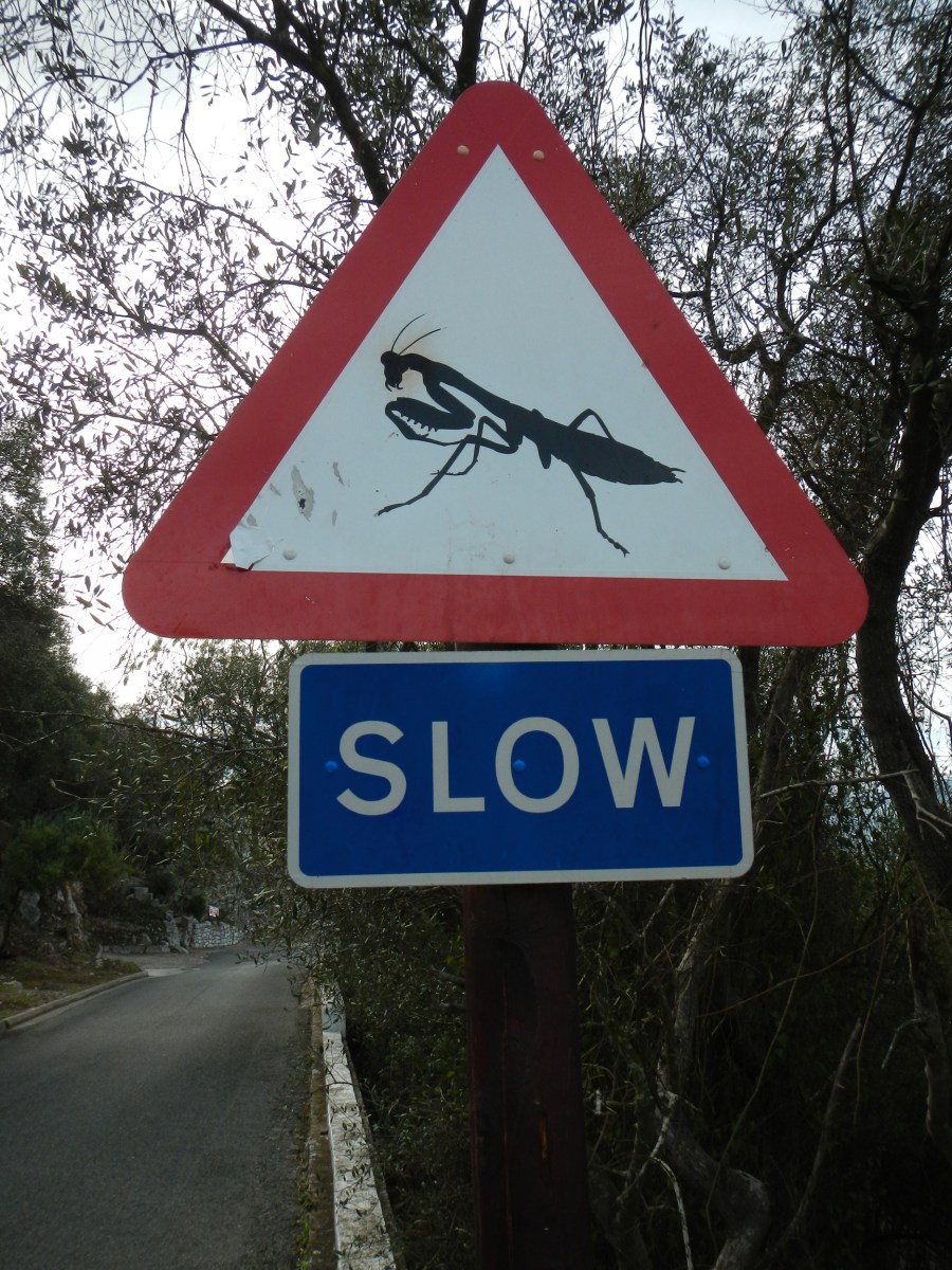Panneau slow original Gibraltar