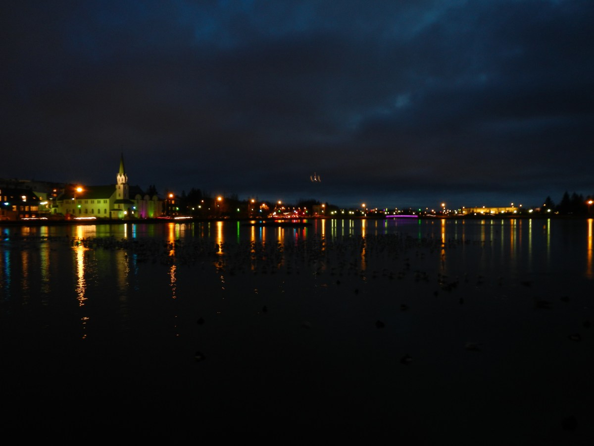 The Pond - Reykjavik