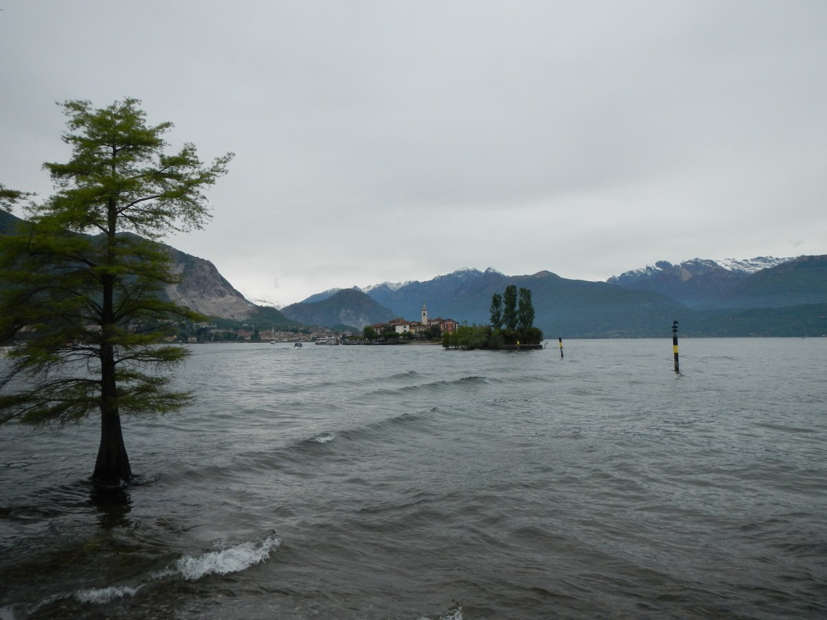 Paysage Isola Madre arbre flottant