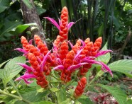 Guadeloupe Le Vent En Poupe Basse Terre Voyage De Vie Guadeloupe Le Vent En Poupe Basse Terre Voyage De Vie